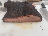 wsm4.jpg