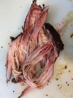 pork2.jpg
