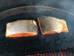 salmon2.jpg