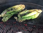 romaine2.jpg