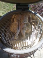 IMG_20220719_113510.jpg