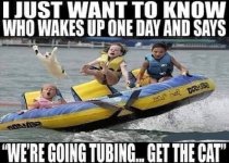 tubing with cat.jpg