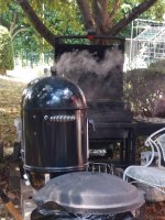 IMG_20220807_113944350.jpg