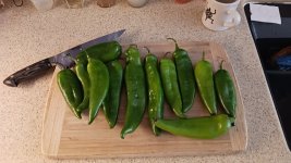 Hatch-Chiles-1-8-20-22.jpg