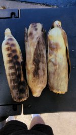 20220820_195233.jpg