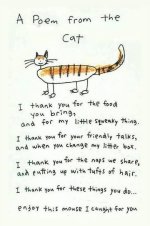 cat poem.jpg