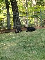IMG_20220920_153935206.jpg
