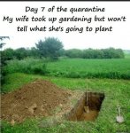 Day-7-of-the-quarantine-My-wife-took-up-gardening-but-wont-tell-what-she-is-going-to-plant-mem...jpg