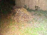 IMG_20200607_220233585.jpg