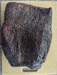 IMG_20200530_180041.jpg