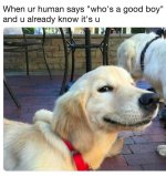 good human.jpg