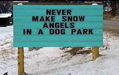 dog park snow angels.jpg