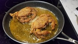 soft crabs.jpg