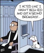 dog confession.jpg