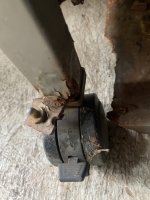 IMG_0806.jpeg