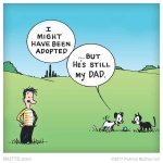adopted dog.jpg