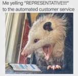 yelling representative.jpg