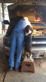 dog helper car repair.jpg