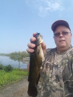 20180815 Airport Lake Bullhead caught on sucker minnow.jpg