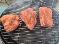 IMG_20230322_091558.jpg