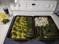 IMG_20230322_210544.jpg