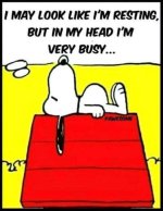 snoopy busy resting.jpg