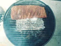 Ribs.jpg Ribs.jpg