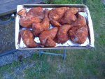 20200618_202034.jpg
