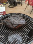 IMG_20200627_163201.jpg