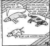 dog seasons.jpg