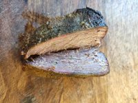 IMG_20230625_100005[1].jpg