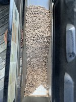 IMG_4831.jpeg IMG_4831.jpeg