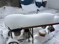 IMG_0440.jpeg