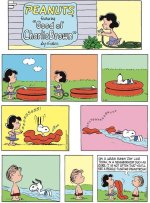 snoopy pool slide.jpg