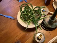 IMG_0693.jpeg