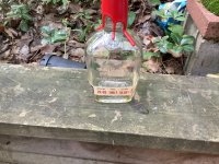 IMG_0710.jpeg