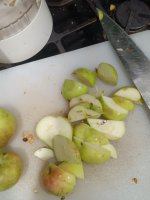 IMG_20230812_174051.jpg