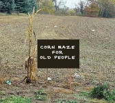 CORN MAZE.png