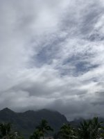 IMG_4610.jpeg