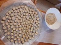 Uncoated balls.jpg