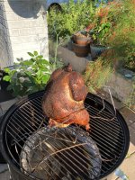 IMG_0627.jpeg