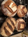 bread.jpeg