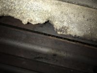 IMG_0826.jpeg