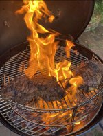 IMG_2132.jpeg