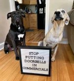 dogs doorbells.jpg