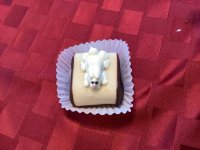 IMG_0161.jpeg
