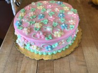 IMG_0013.jpeg