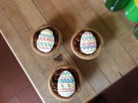 IMG_0363.jpeg