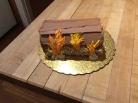 IMG_0282.jpeg