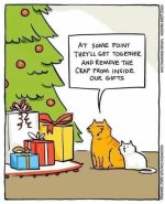 cat box gifts.jpg